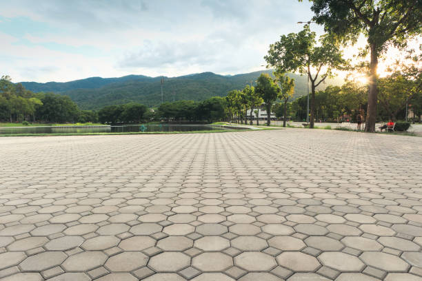 Best Best Driveway Pavers  in Dana Point, CA